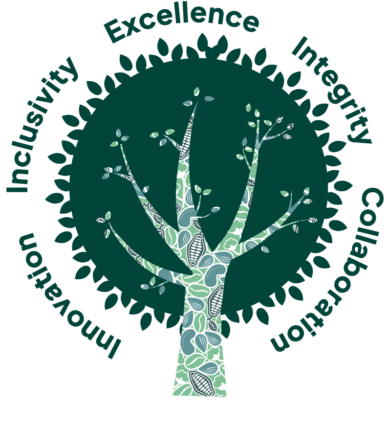 Árbol de valores
