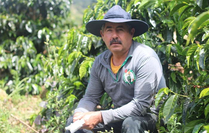 Single Origin